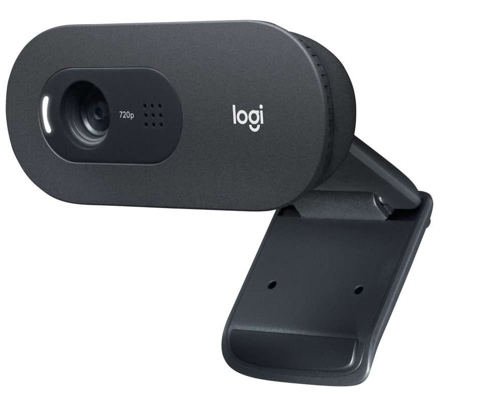 Logitech C505 HD Webcam