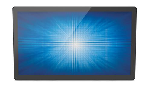2495L 23.8-Inch FHD LCD WVA 600nit Monitor