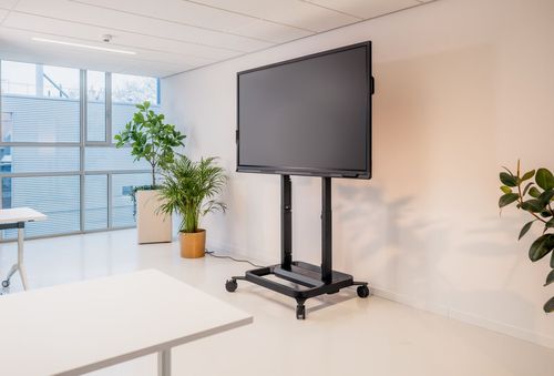 RISE 5200 Motorized Display
