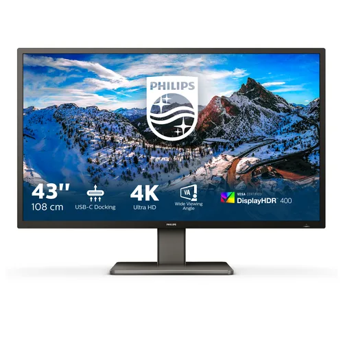 Philips P Line 439P1/00 42.5" 4K UHD Monitor