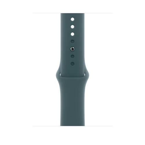 Apple 46mm Lake Green Sport Band M/L
