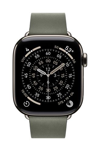 Apple 42mm Sage Gray Modern Buckle - Medium