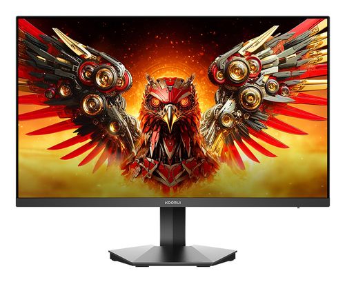 HKC KOORUI 23.8 IPS MONITOR G2411P computer monitor