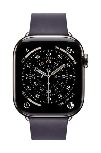 Apple 42mm Midnight Purple Modern Buckle - Small