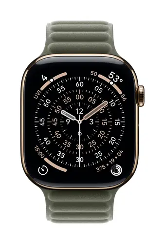 Apple 46mm Sage Gray Magnetic Link Band - S/M