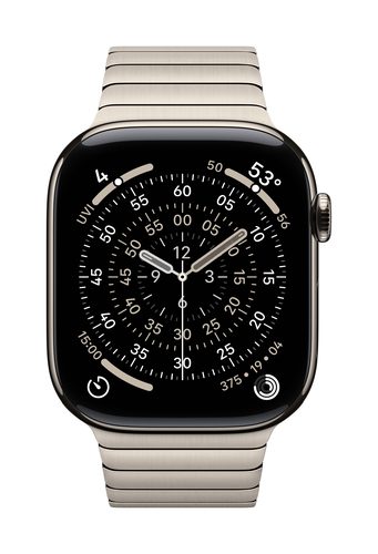 Apple 46mm Natural Link Bracelet