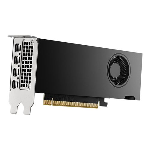 NVIDIA RTX 2000 Ada Generation Low Profile Graphics Card