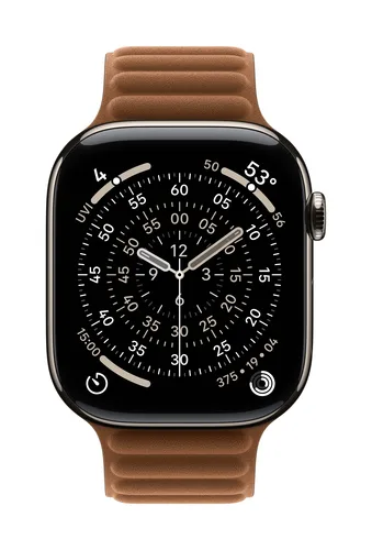 Apple 46mm Caramel Magnetic Link Band - M/L