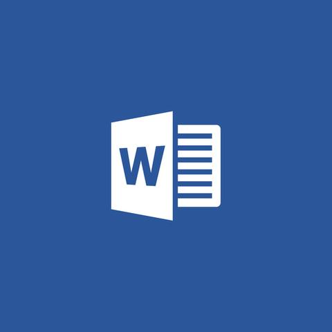 WORD MAC Software License
