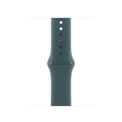 Apple Watch 42mm Lake Green Sport Band - M/L
