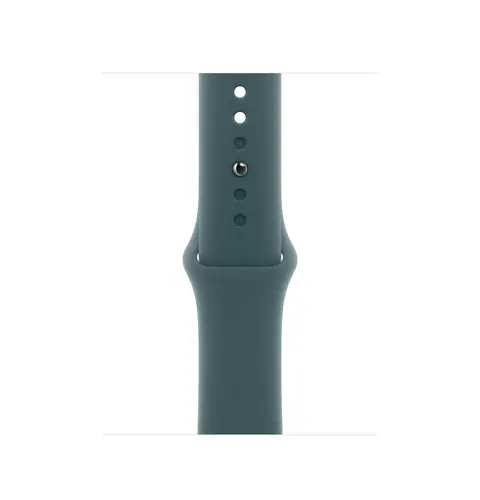 Apple Watch 42mm Lake Green Sport Band - M/L