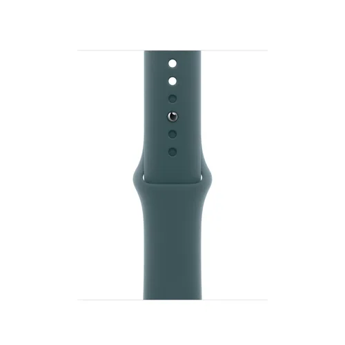 Apple Watch 42mm Lake Green Sport Band - M/L