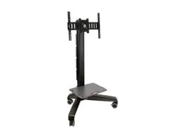 ZUB ERGOTRON Neo-Flex Mobile MediaCenter VHD