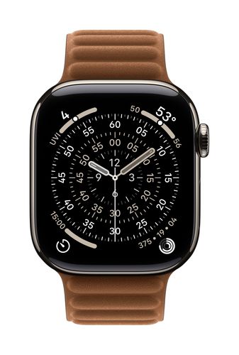 Apple 42mm Caramel Magnetic Link Band - M/L