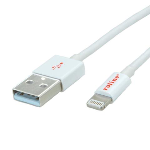 ROLINE 8-Pin/USB Charging/Sync Cable