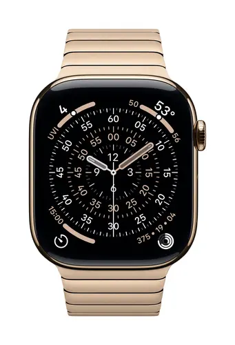 Apple 46mm Gold Link Bracelet