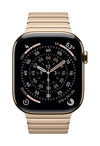 Apple 46mm Gold Link Bracelet