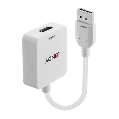 HDMI to DisplayPort Adapter