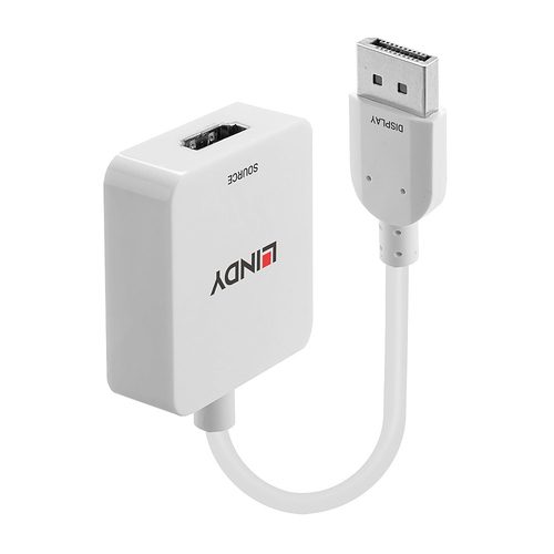 HDMI to DisplayPort Adapter