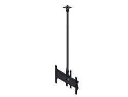 Ceiling Mount Twin