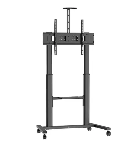 ESSENTIAL T1041 B