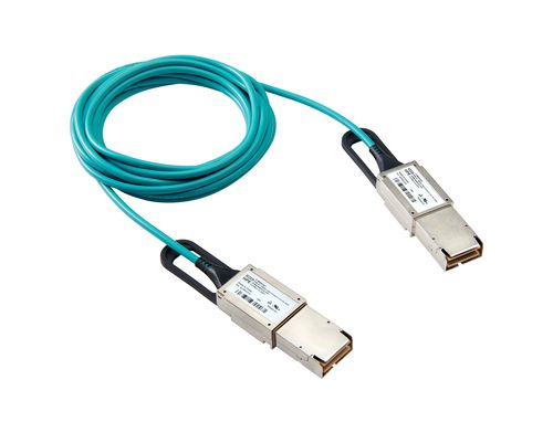 HPE 300GB Interconnect Link