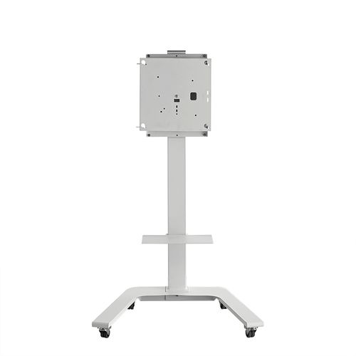 55-Inch Mobile Stand