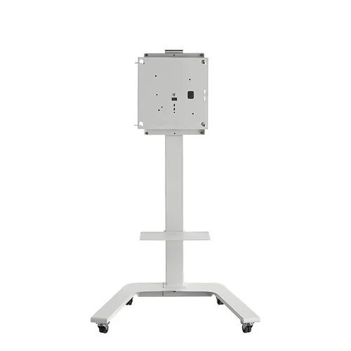 55-Inch Mobile Stand