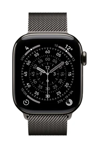 Apple 42mm Slate Milanese Loop