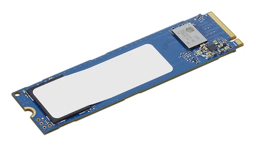 Lenovo TC 256GB Value G4 SSD
