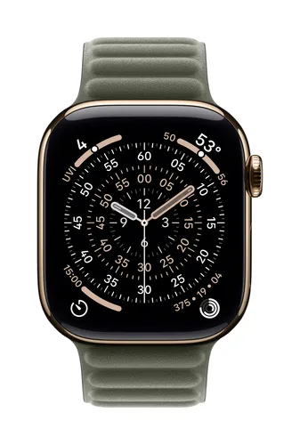 Apple 42mm Sage Gray Magnetic Link Band - S/M