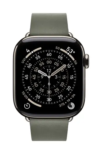 Apple 42mm Sage Gray Modern Buckle - Large