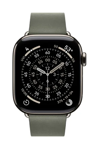Apple 42mm Sage Gray Modern Buckle - Large