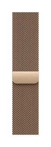 Apple 40mm Gold Milanese Loop