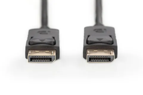 DisplayPort Connection Cable