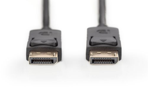 DisplayPort Connection Cable