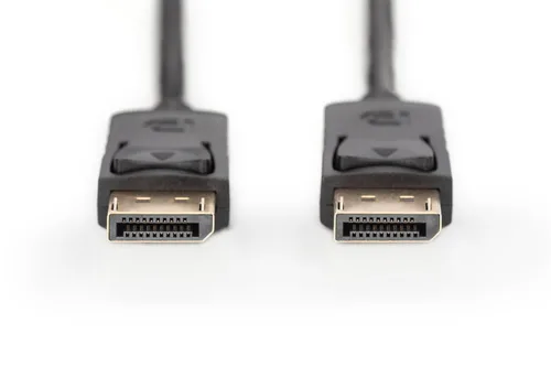 DisplayPort Connection Cable