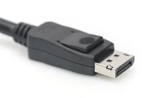 DisplayPort Connection Cable