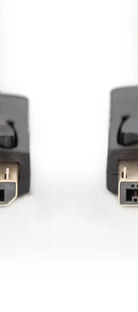 DisplayPort Connection Cable