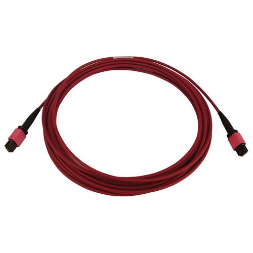 Tripp Lite N845B-05M-12-MG 100G Multimode 50/125 OM4 Fiber Optic Cable (12F MTP/MPO-PC F/F), LSZH, Magenta, 5 m (16.4 ft.)
