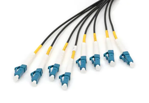Pre-assembled fiber optic universal breakout cable, singlemode OS2, 8 fibers, LC/UPC - LC/UPC