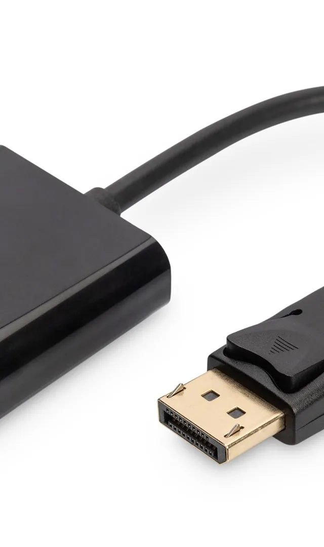 Digitus DisplayPort Adapter / Converter