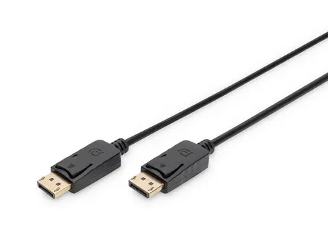 DisplayPort Connection Cable