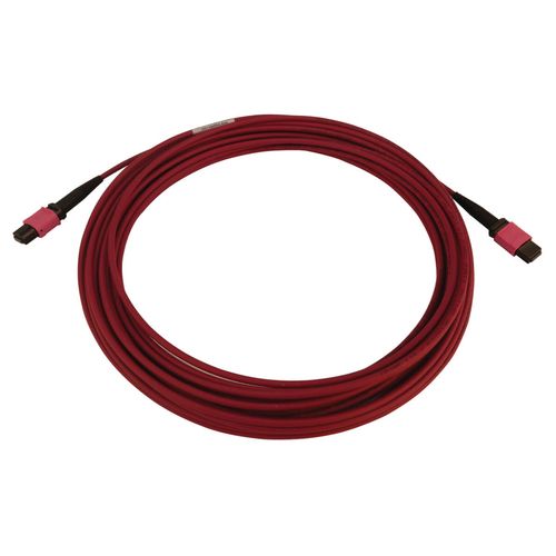 Tripp Lite N845B-10M-12-MG 100G Multimode 50/125 OM4 Fiber Optic Cable (12F MTP/MPO-PC F/F), LSZH, Magenta, 10 m (32.8 ft.)