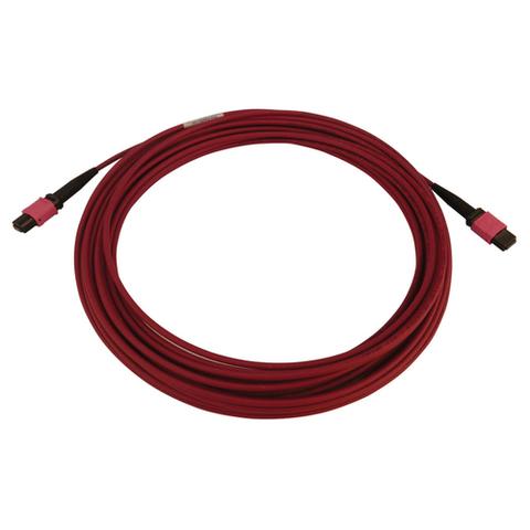Tripp Lite N845B-10M-12-MG 100G Multimode 50/125 OM4 Fiber Optic Cable (12F MTP/MPO-PC F/F), LSZH, Magenta, 10 m (32.8 ft.)