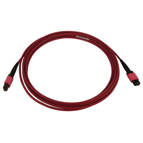 Tripp Lite N845B-03M-12-MG 100G Multimode 50/125 OM4 Fiber Optic Cable (12F MTP/MPO-PC F/F), LSZH, Magenta, 3 m (9.8 ft.)