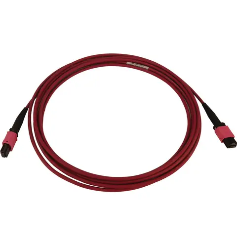 Tripp Lite N845B-03M-12-MG 100G Multimode 50/125 OM4 Fiber Optic Cable (12F MTP/MPO-PC F/F), LSZH, Magenta, 3 m (9.8 ft.)