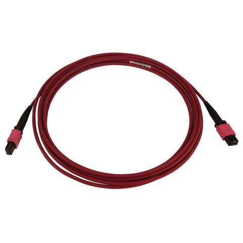 Tripp Lite N845B-03M-12-MG 100G Multimode 50/125 OM4 Fiber Optic Cable (12F MTP/MPO-PC F/F), LSZH, Magenta, 3 m (9.8 ft.)