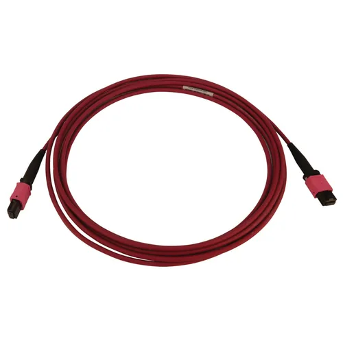Tripp Lite N845B-03M-12-MG 100G Multimode 50/125 OM4 Fiber Optic Cable (12F MTP/MPO-PC F/F), LSZH, Magenta, 3 m (9.8 ft.)