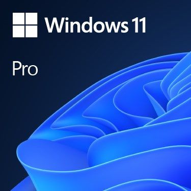 Windows 11 Pro - Full Version DVD